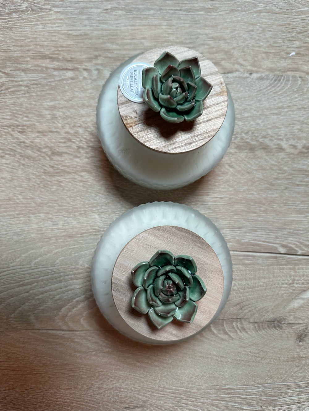 Ceramic Succulent Wooden Lid Candle Jar - Green Succulent